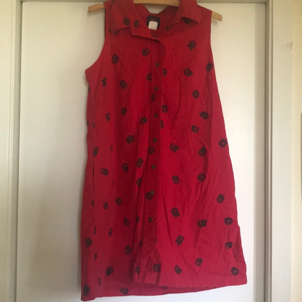 Sig Zane dress